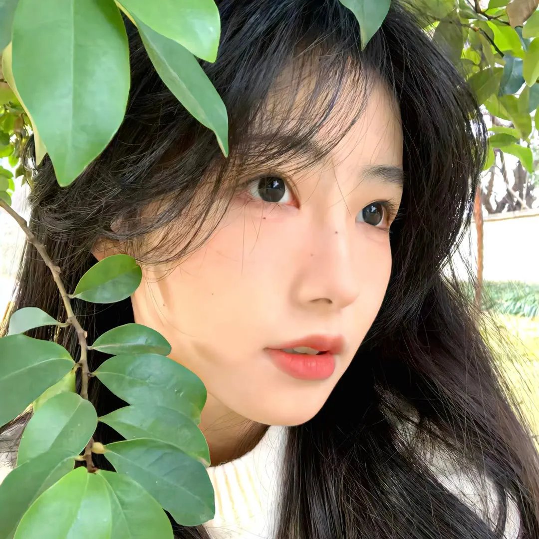 阿班与裘迪