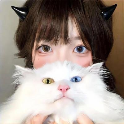 花姊妹风流债